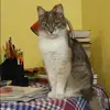Отзыв от Татьяна Наумова